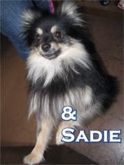 Sadie